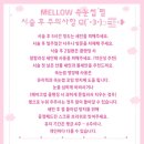 뷰티나속눈썹 이미지