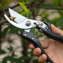 아성농장 이미지