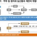 일선목장 한국일보