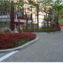 서울덕의초등학교 머니투데이