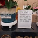 초원애한식뷔페 이미지