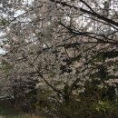 추월산로 이미지