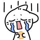 도봉-도봉-서울도봉-2205 이미지