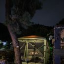 정글바베큐 이미지