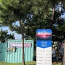 탄도 섬마을 | 안산 가볼만한곳 추천