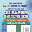 파피루스문해원동탄나루관학원