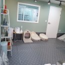 배츄네펫살롱 이미지