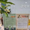 관악보건안마원 이미지