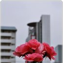 나루빌딩 이미지