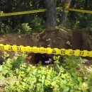 삼동면보건지소 이미지