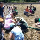 가치마루농장 이미지