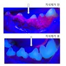 뉴엘동물의료센터 이미지