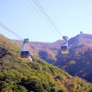 밀양대공원로 이미지