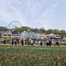 블링블링 게임존 | 에버랜드 튤립축제, 퍼레이드 내돈내산 주말후기🌷