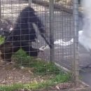 보리보리쌀 이미지