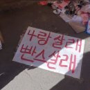 여름의 시작