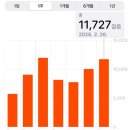 천보반점 | 37주 출산휴가 시작💪🏻(태동검사, 내진, 분만전검사)