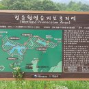 월영마을로 이미지