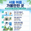 인셀덤 서울본부 안성 | 서울 여름 가볼만한 곳 총정리 — 무료 실내 전시·한강 야간 물놀이·아이와 갈 곳