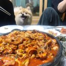 자동음성통보 | 부산 영도 흰여울문화마을 그리고 카페 흰여울비치