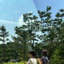 (주)숲플랜 네이버블로그