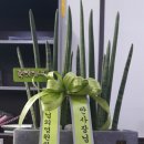 명성공인중개사사무소합동 이미지