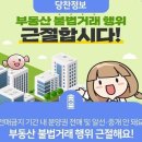 우리현대부동산공인중개사사무소 이미지