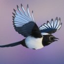 디지털 드로잉 이미지