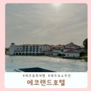 하니랜드수영장(실외) | 제주 아이랑 감성 숙소 찾다가 발견한 에코랜드 호텔 수영장 찐 후기