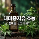 심플리투 | 대마종자유 효능 및 부작용 5가지 총정리 선택 기준 가이드
