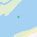 남대천 | 🌸 양양 봄 필수코스! 남대천 벚꽃 명소 후기 🌸