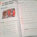 Reading Starter | 예비중 영어독해 문제집 쎄듀 리딩큐 스타터 학습후기