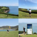 진비치하우스 | 국내골프여행 파인비치CC LPGA 골프코스 라운드 후기
