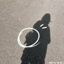 연두테니스스토어 | 여름 러닝모자 엠쿰 추천 MQUM 메쉬 러닝캡 솔직 사용후기