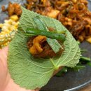 청라맛집 야채곱창 알곱창 직화곱창 [ 곱분이곱창 ] 내돈내산 후기