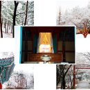 충장사 이미지