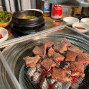 참토우 이미지
