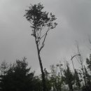 삼성곽재활의학과의원 이미지