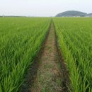 이삭농장 이미지