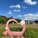 덕동 이미지