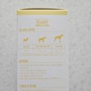 펫프로젝트 이미지