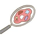 광진동물의료센터 이미지