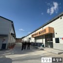 성은농장 | [봉화 품은들농장 3편] 버섯 마이스터 농장의 특식, 버섯 스테이크