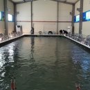 수원 락 실내바다 낚시터 이미지