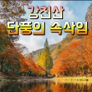 강천산과 채계산 출렁다리.... 이미지