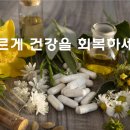 신탄약국 이미지