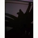 다인 아울렛 이미지