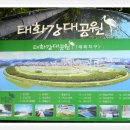 입화산참살이숲 이미지