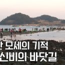 [한국의 자연명승] 진도의 바닷길 이미지