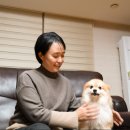 펫 온 - Pet on 이미지